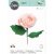 SIZZIX vágósablon 666120, Garden Rose  / Sizzix Thinlits Die Set  (1 csomag)