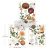 Limited Edition Re-Design with Prima Transzfer fólia 8.5"X11" - Seasonal Splendor - Re-Design with Prima Middy Decor Transfers (1 csomag)