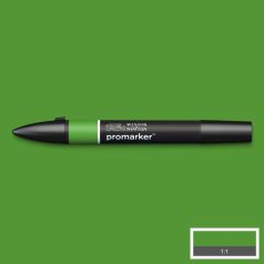   Winsor & Newton Promarker kétvégű alkoholos filctoll G356 - Forest Green (1 db)