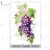 Dress My Craft Wine Grapes Transzfer fólia Mini Transfer Me (1 db)