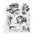 Stampers Anonymous French Garden Tim Holtz Gumibélyegző Cling Stamps (1 csomag)