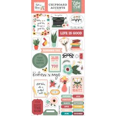   Echo Park Year In Review Chipboard 6"X12" Chipboard Accents (1 ív)