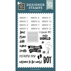   Echo Park Special Delivery Baby Boy Baby Boy Stats Szilikonbélyegző Clear Stamps (1 db)