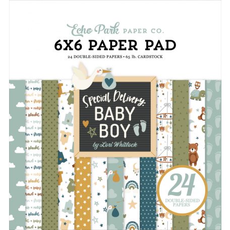 Echo Park Special Delivery Baby Boy Papírkészlet 6" (15 cm) Paper Pack (24 lap)