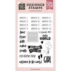   Echo Park Special Delivery Baby Girl Baby Girl Stats Szilikonbélyegző Clear Stamps (1 db)