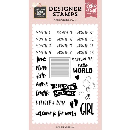 Echo Park Special Delivery Baby Girl Baby Girl Stats Szilikonbélyegző Clear Stamps (1 db)