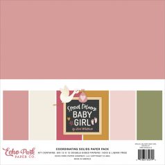   Echo Park Special Delivery Baby Girl Papírkészlet 12" (30 cm) Coordinating Solids Paper Pack (6 lap)