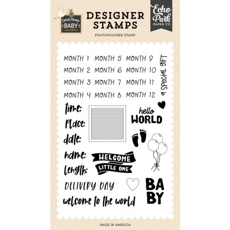 Echo Park Special Delivery Baby Baby Stats Szilikonbélyegző Clear Stamps (1 db)