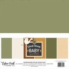   Echo Park Special Delivery Baby Papírkészlet 12" (30 cm) Coordinating Solids Paper Pack (6 lap)