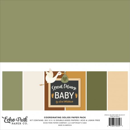 Echo Park Special Delivery Baby Papírkészlet 12" (30 cm) Coordinating Solids Paper Pack (6 lap)