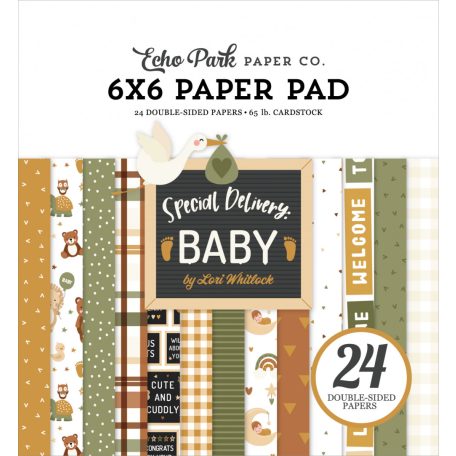 Echo Park Special Delivery Baby Scrapbook papírkészlet 6" (15 cm) Paper Pack (24 lap)