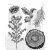 Stampers Anonymous Forest Floor 2 Tim Holtz Gumibélyegző Cling Stamps (1 csomag)