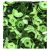 Flitter 6mm / 12gr, Sequins / Regular, Green -  (1 csomag)