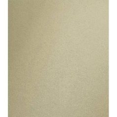   Kreatív papír A4 / 250g, Vintage Metallic Cardstock / Ivory -  (1 lap)