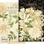 Kivágatok , Shades of Ivory / Graphic 45 Flower Assortment (1 csomag)