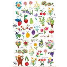 Matrica készlet Flowers, fruit Mini Stickers (1 ív)